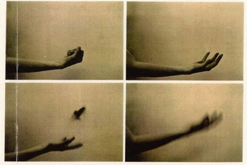 A cover of "Barnfield Gold #A28F5E" cluster. The owner is barnfieldcustoms. The cluster consists of 32 elements.