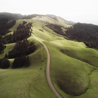 A cover of "Inspiration" cluster. The owner is revyakinastya. The cluster consists of 177 elements.