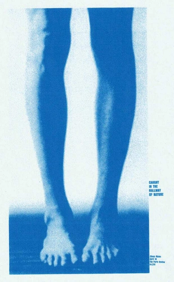 A cover of "💙🥶🦋🐟🔵🚙🚎" cluster. The owner is albasf. The cluster consists of 21 elements.