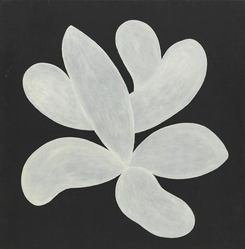 A cover of "Lotus" cluster. The owner is miguelamaral. The cluster consists of 2 elements.