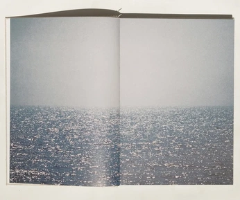 A cover of "BOOK DESIGN" cluster. The owner is josephsand. The cluster consists of 2 elements.