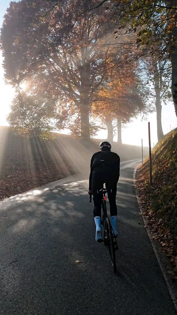 A cover of "vibes for me" cluster. The owner is karnav. The cluster consists of 1 element.