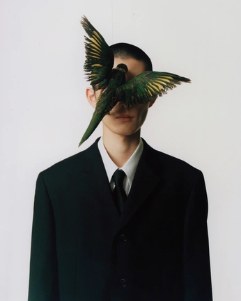 A cover of "Shoots" cluster. The owner is byleon. The cluster consists of 5 elements.