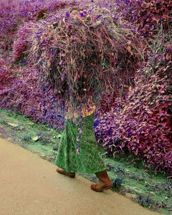 A cover of "Color Combo" cluster. The owner is ahnkye. The cluster consists of 15 elements.