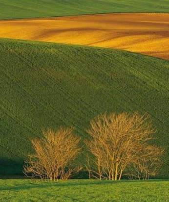 A cover of "dreamcore inspo" cluster. The owner is arinanenado. The cluster consists of 2 elements.