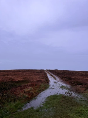 Barnaby Knight avatar