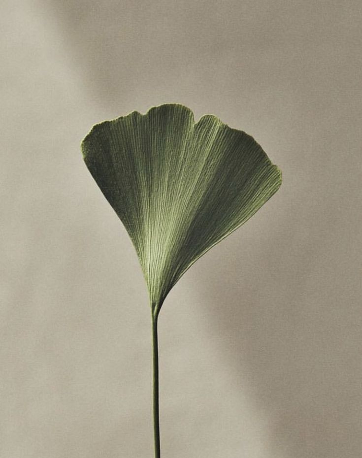 Photo by Jacobien Vink.