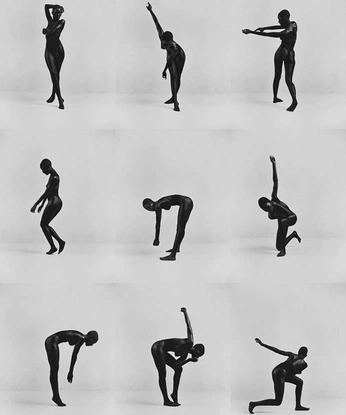 A cover of "figure drawing" cluster. The owner is nikki.talia. The cluster consists of 88 elements.