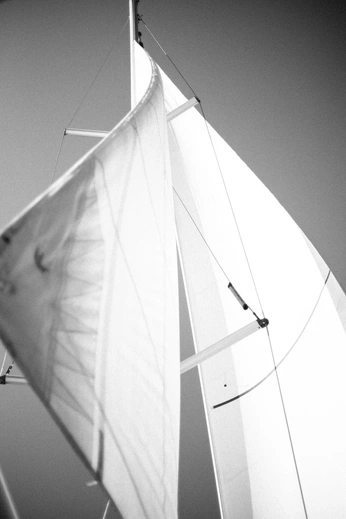 A cover of "object" cluster. The owner is jexcal8. The cluster consists of 24 elements.