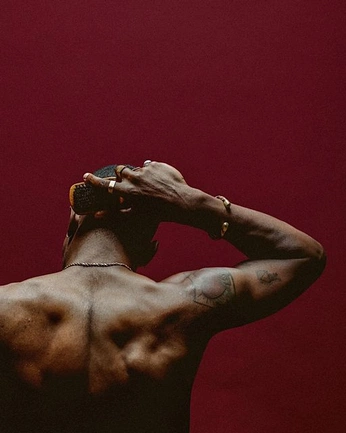 A cover of "The back 🫶🏻" cluster. The owner is anirudh.74. The cluster consists of 2 elements.