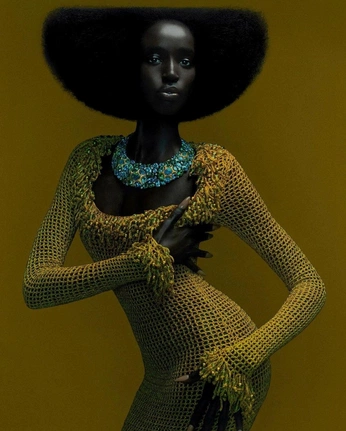 A cover of "Fashion BS" cluster. The owner is donaldnga. The cluster consists of 233 elements.