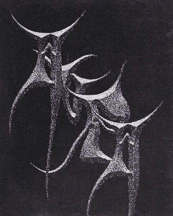 A cover of "Typeface" cluster. The owner is amarodigestivo. The cluster consists of 4 elements.