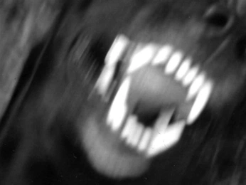 A cover of "SCARE" cluster. The owner is lilz333. The cluster description is "TO BE BEAUTIFUL". The cluster consists of 19 elements.