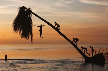 A cover of "Cousin" cluster. The owner is indiawoodall. The cluster consists of 8 elements.