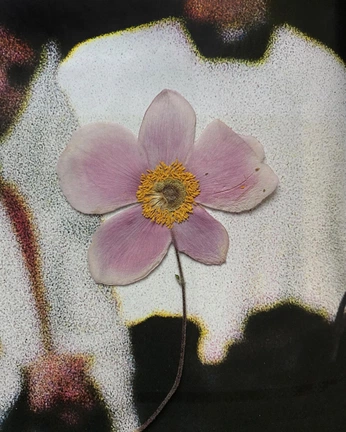 A cover of "BSC" cluster. The owner is chrisstewart. The cluster consists of 103 elements.