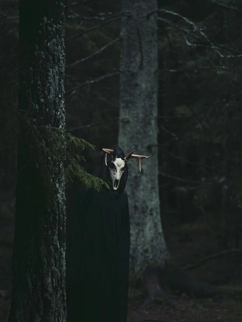 A cover of "druid." cluster. The owner is em.em. The cluster consists of 50 elements.