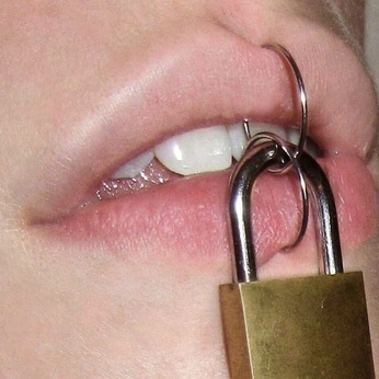 A cover of "Enfermer" cluster. The owner is lilouli. The cluster consists of 6 elements.