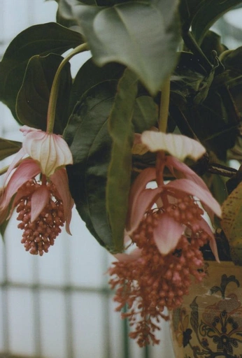 A cover of "nature" cluster. The owner is defink. The cluster consists of 58 elements.