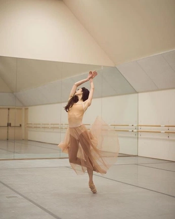 A cover of "Form" cluster. The owner is jesseschmidt. The cluster consists of 24 elements.