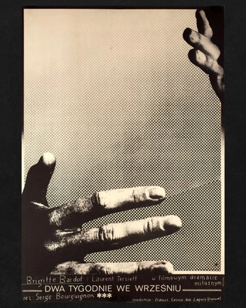 A cover of "Album Artwork" cluster. The owner is annacappy. The cluster consists of 7 elements.