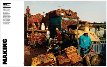 A cover of "Decks" cluster. The owner is cooldaddy4. The cluster consists of 1 element.