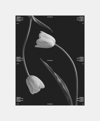 A cover of "botanico" cluster. The owner is ailujarkoswky. The cluster consists of 8 elements.