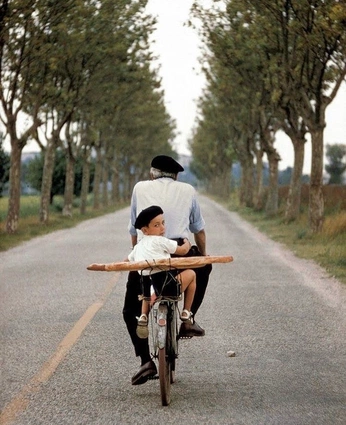 A cover of "Storytelling" cluster. The owner is omarsalah. The cluster consists of 8 elements.