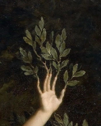 A cover of "》 NOX / Tiziano" cluster. The owner is eikaia. The cluster consists of 12 elements.