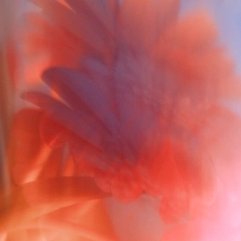 A cover of "kjc room" cluster. The owner is diziy. The cluster consists of 9 elements.