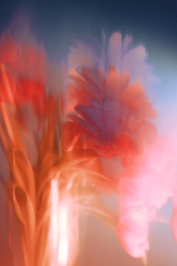 A cover of "Abstract Florals" cluster. The owner is oliviairene. The cluster consists of 6 elements.