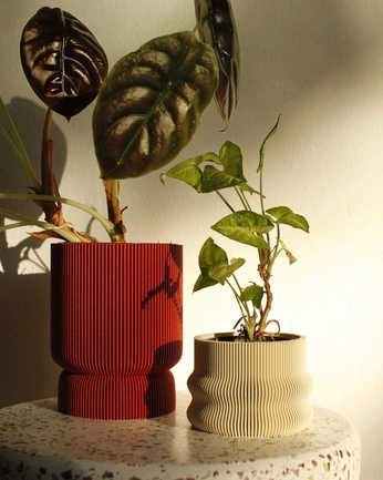 A cover of "plant pot" cluster. The owner is name1. The cluster consists of 1 element.