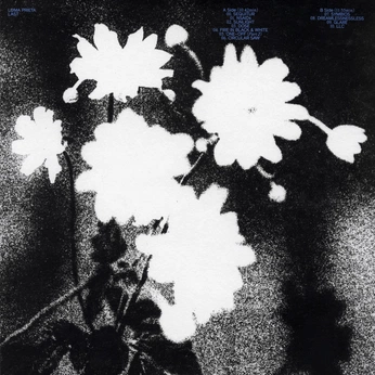 A cover of "Katie" cluster. The owner is benbloom. The cluster consists of 28 elements.