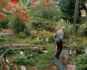 A cover of "warrior in a garden" cluster. The owner is sifromse15. The cluster consists of 33 elements.