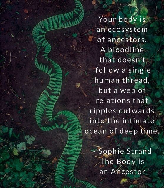 An Instagram  post added by sophburns on Jun 07, 2023. The author is @cosmogyny. May present: serpent, the madonna secret, the flowering wand: rewilding the sacred masculine, natural environment, terrestrial plant.