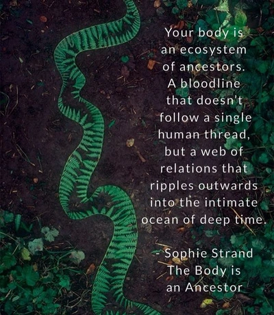 An Instagram  post added by sophburns on Jun 07, 2023. The author is @cosmogyny. May present: serpent, the madonna secret, the flowering wand: rewilding the sacred masculine, natural environment, terrestrial plant.