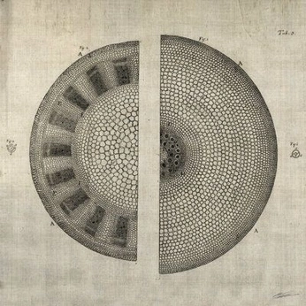 A cover of "Semiosphere" cluster. The owner is pacocroket. The cluster consists of 16 elements.