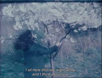 A cover of "Deep thoughts" cluster. The owner is diyah. The cluster consists of 2 elements.