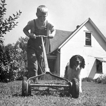 A cover of "Cherry's" cluster. The owner is mike5000. The cluster consists of 416 elements.