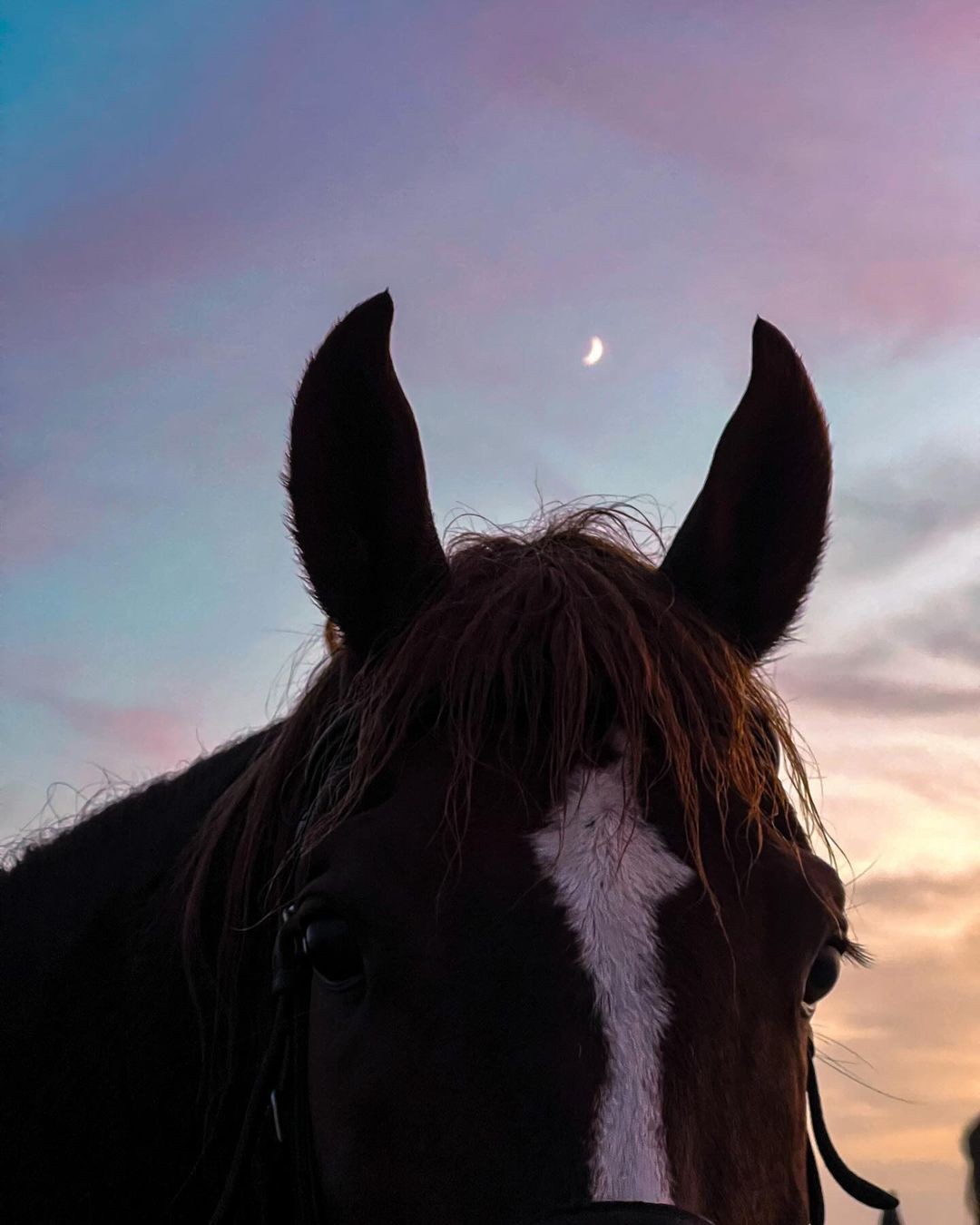 An Instagram carousel post added by lianamcarbone on Feb 11, 2024. The author is @alx_antz.