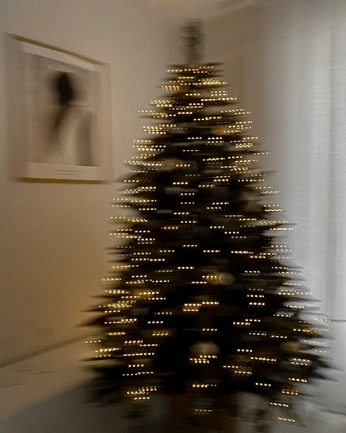 A cover of "dec 24" cluster. The owner is selavie. The cluster consists of 25 elements.