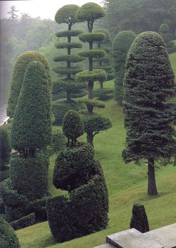 A cover of "Nature" cluster. The owner is shannon. The cluster consists of 5 elements.