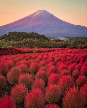 A cover of "Landscapes" cluster. The owner is salmiakk. The cluster consists of 30 elements.