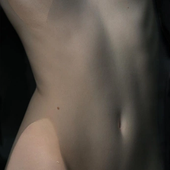 A cover of "FLESH" cluster. The owner is houseofsin. The cluster consists of 4 elements.