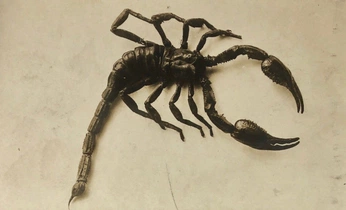 A cover of "-" cluster. The owner is uselessheaven. The cluster consists of 3 elements.