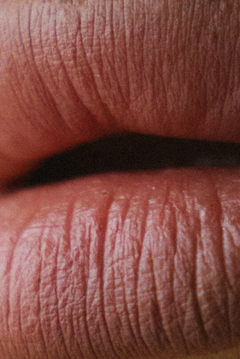 A cover of "🩰🐷🌸" cluster. The owner is shreen. The cluster consists of 4 elements.