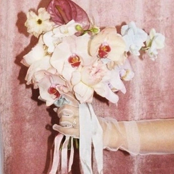 A cover of "wedding dreams" cluster. The owner is sarahelianne. The cluster consists of 40 elements.