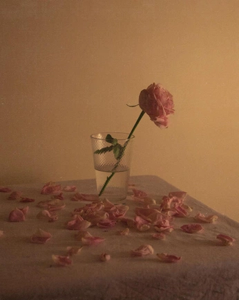 A cover of "ROSE FOR RR" cluster. The owner is howekathleen. The cluster consists of 5 elements.