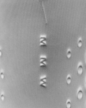 A cover of "Yoyooo" cluster. The owner is yobrn. The cluster consists of 3 elements.