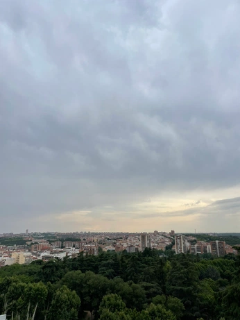 A cover of "my life" cluster. The owner is fayelydia. The cluster consists of 4 elements.