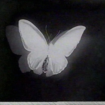 A cover of "the butterfly effect" cluster. The owner is theplace. The cluster consists of 57 elements.